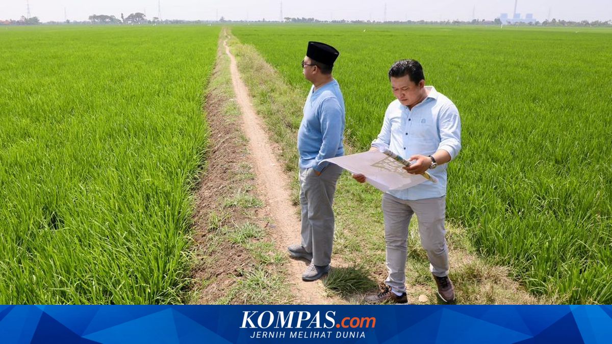 Nusron Assures Industrial Zone Land in Indramayu Not Included in Protected Rice Fields
