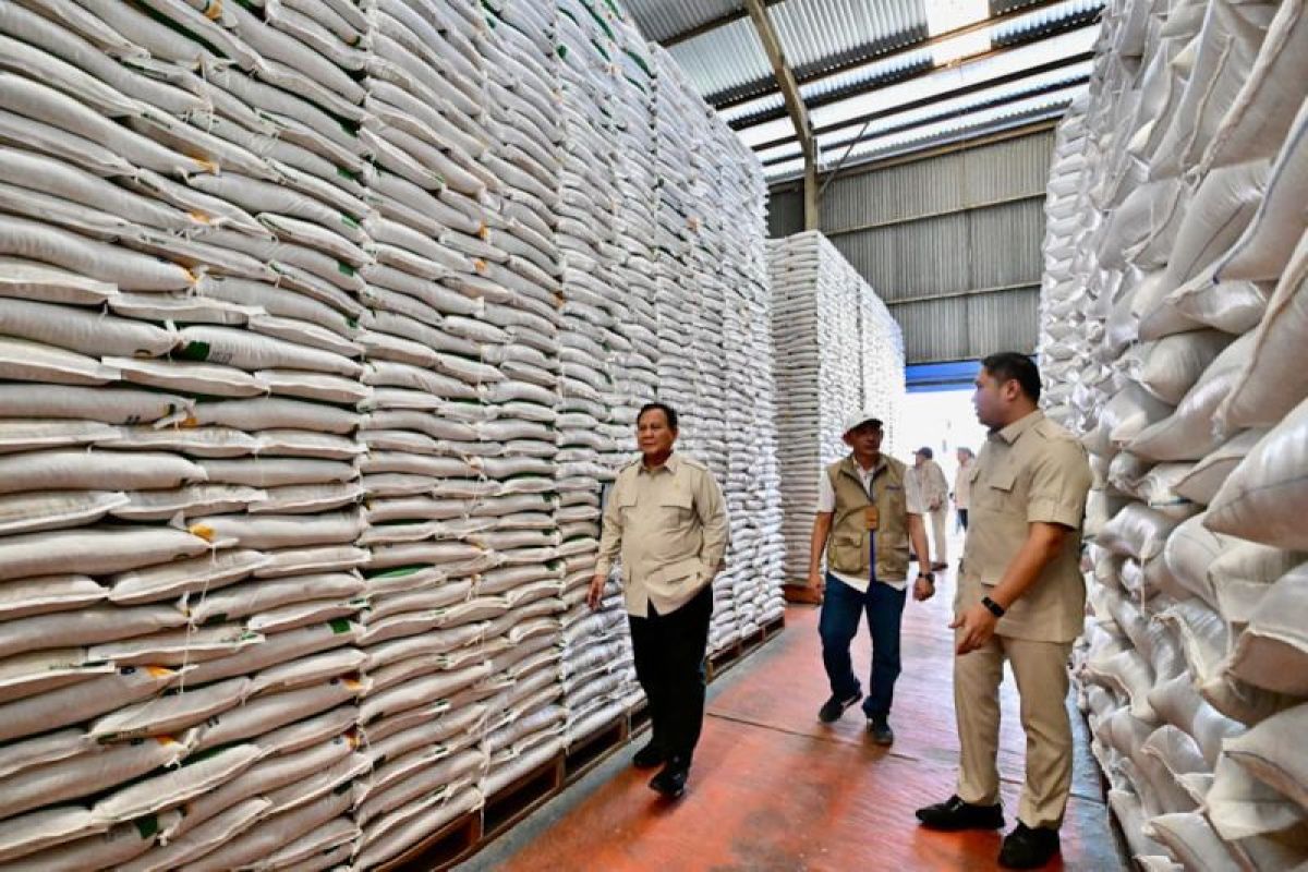HKTI: Field conditions prove ample rice stocks, strong self-sufficiency