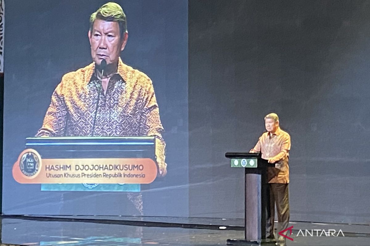 Hashim says weaknesses in MBG are normal