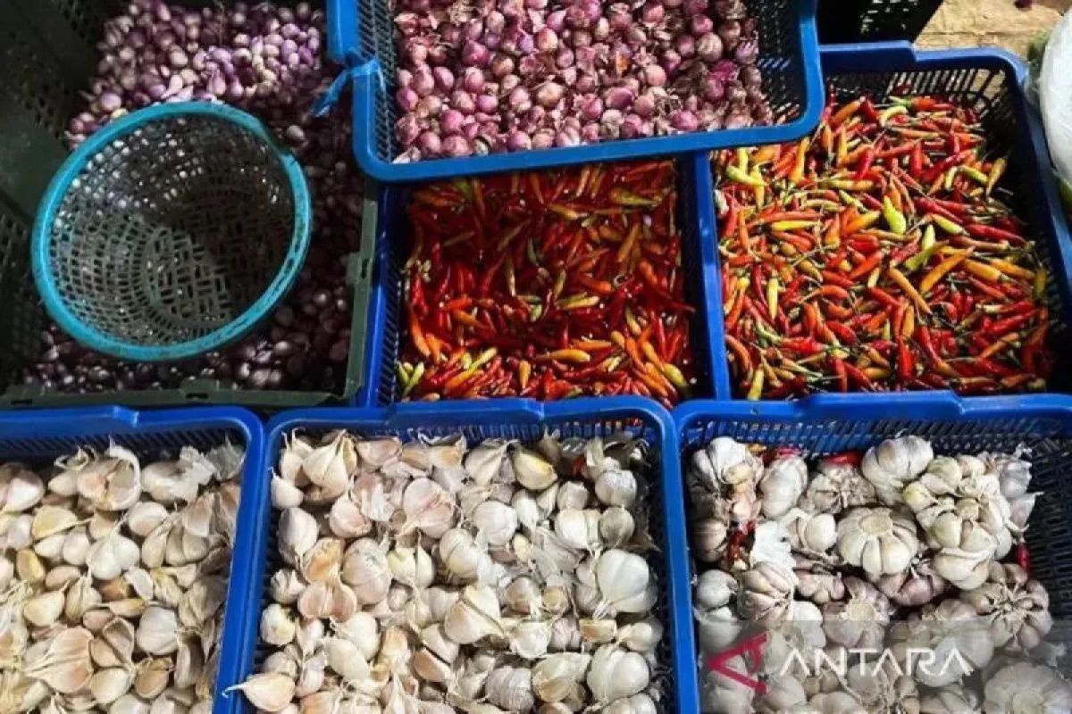 Monday morning red cayenne chilli price Rp78,850/kg, chicken eggs Rp35,900/kg