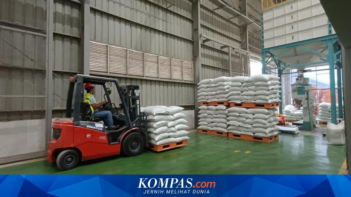 Government Rice Reserves Reach 4.9 Million Tonnes, Bulog Claims Highest Record