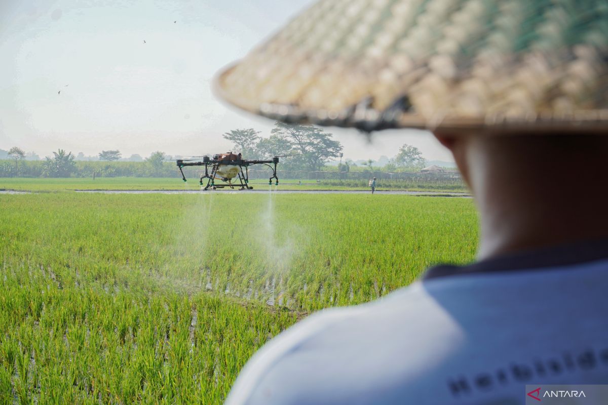 The aspiration for food self-sufficiency and the resulting consequences