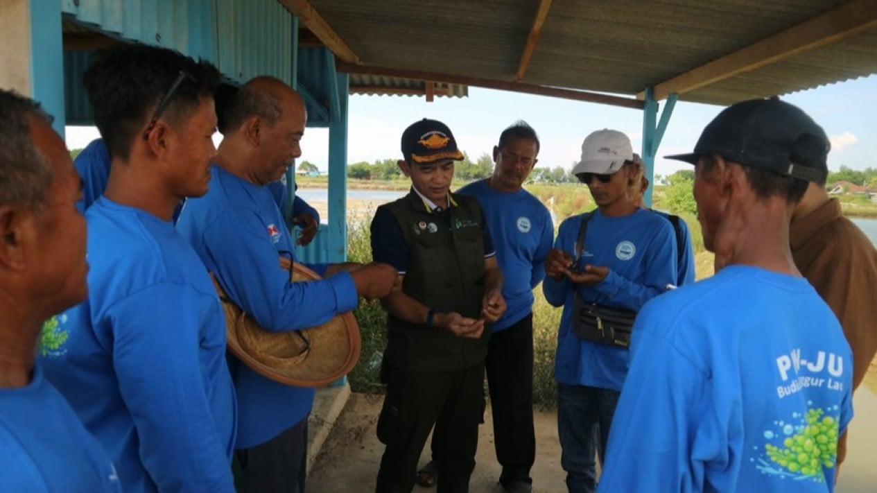 Optimising Sea Grape Cultivation, Pelayaran Bahtera Adhiguna Partners with BRIN