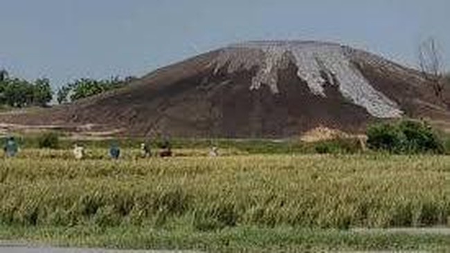 Sudden Emergence of New Mountain in Java, Geology Expert Reveals Its Origins