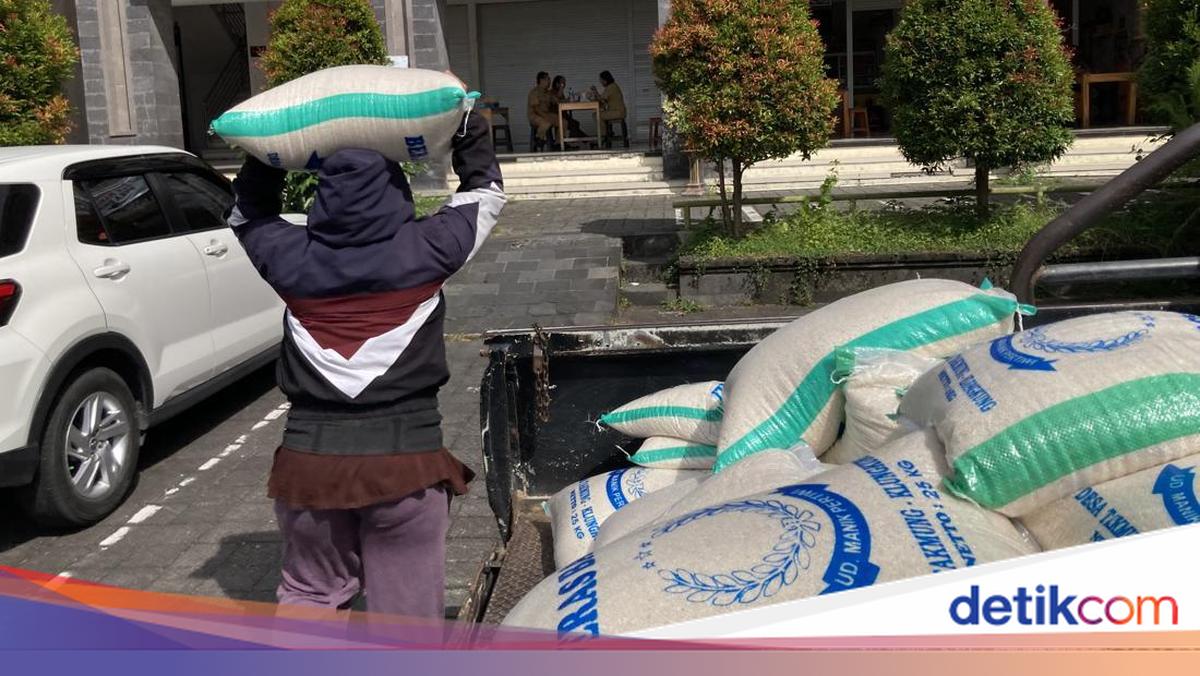 Rice Paddy Prices Rise, Rice Traders in Klungkung Cut Transport Service Costs