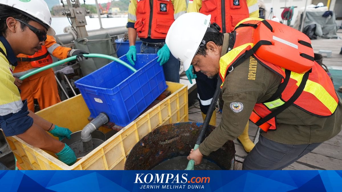 Marine Research Shows Adaptation of Marine Life in Amman Area, Safeguarding NTB's Maritime Economy