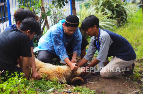Blessed Sacrifice Empowers Villages