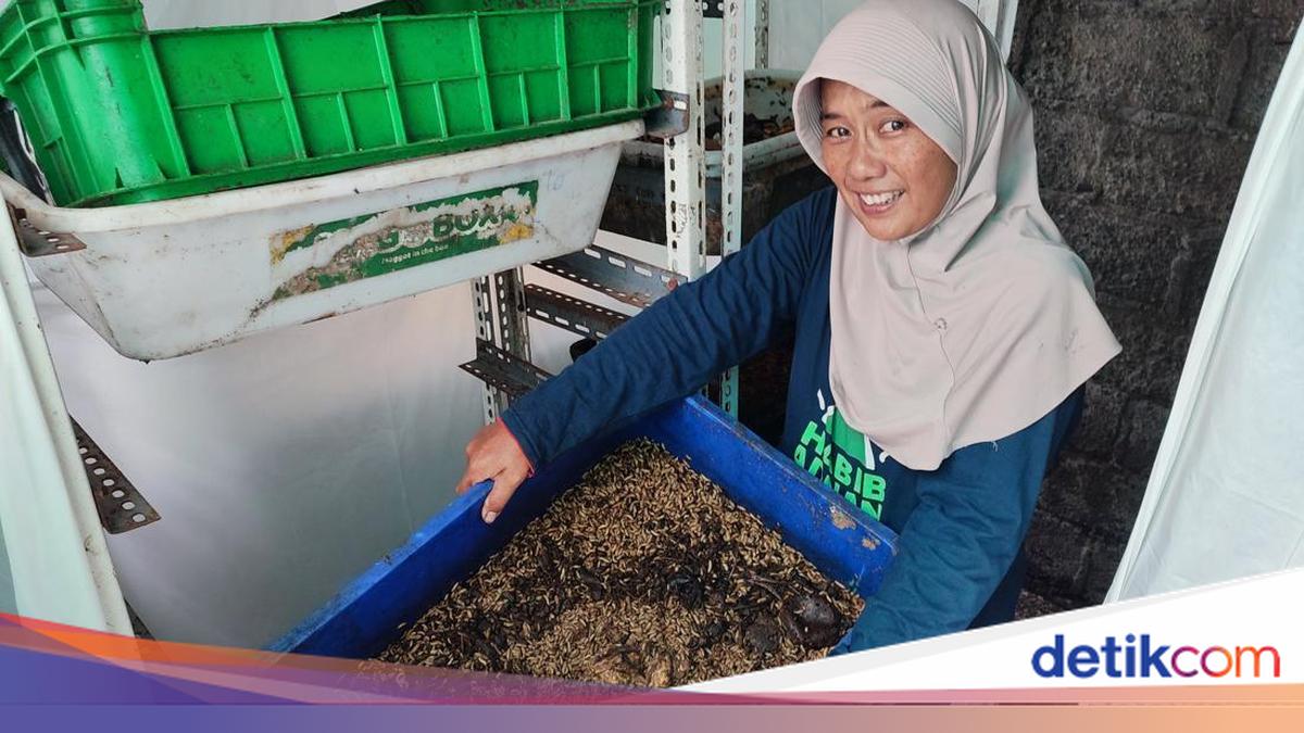 Kartini from Kepaon: Processing Organic Waste with Maggots Amid the Waste Crisis
