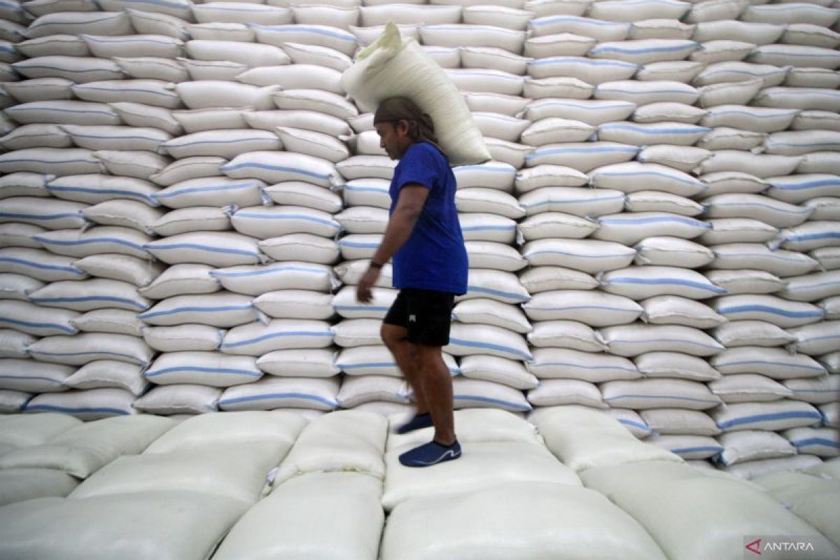 Testing the effectiveness of the government's rice reserves