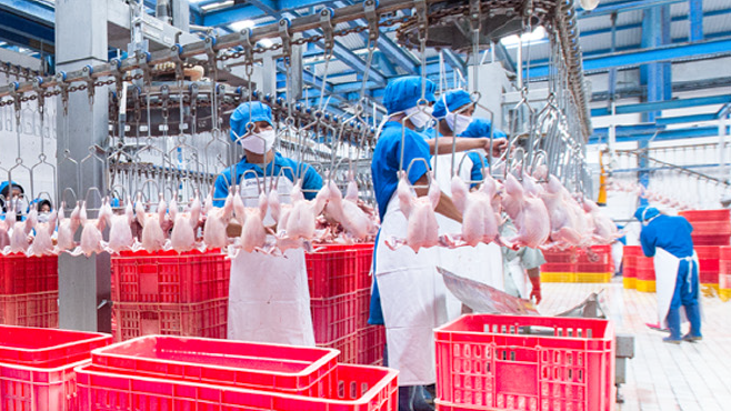 Sreeya Sewu Indonesia (SIPD) Expands into Animal Feed Sector in 2026 - PintarSaham