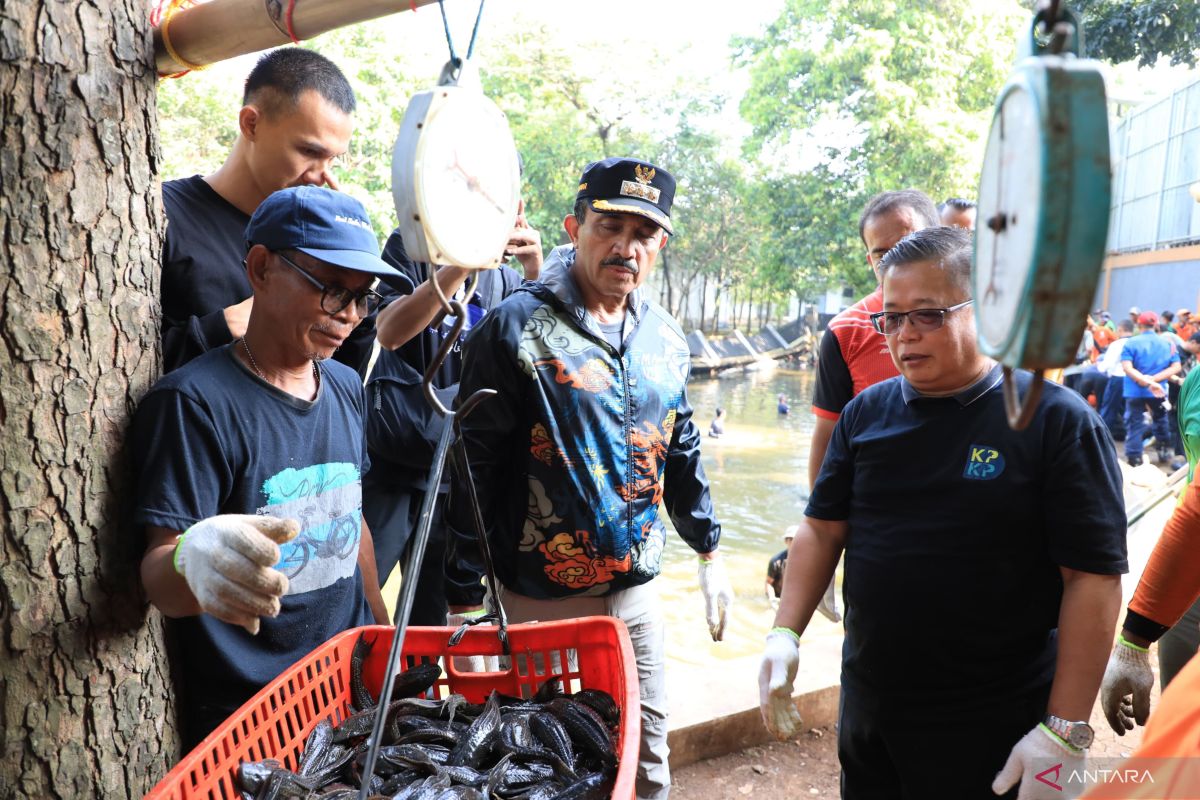 Handling of janitor fish in South Jakarta follows MUI recommendations