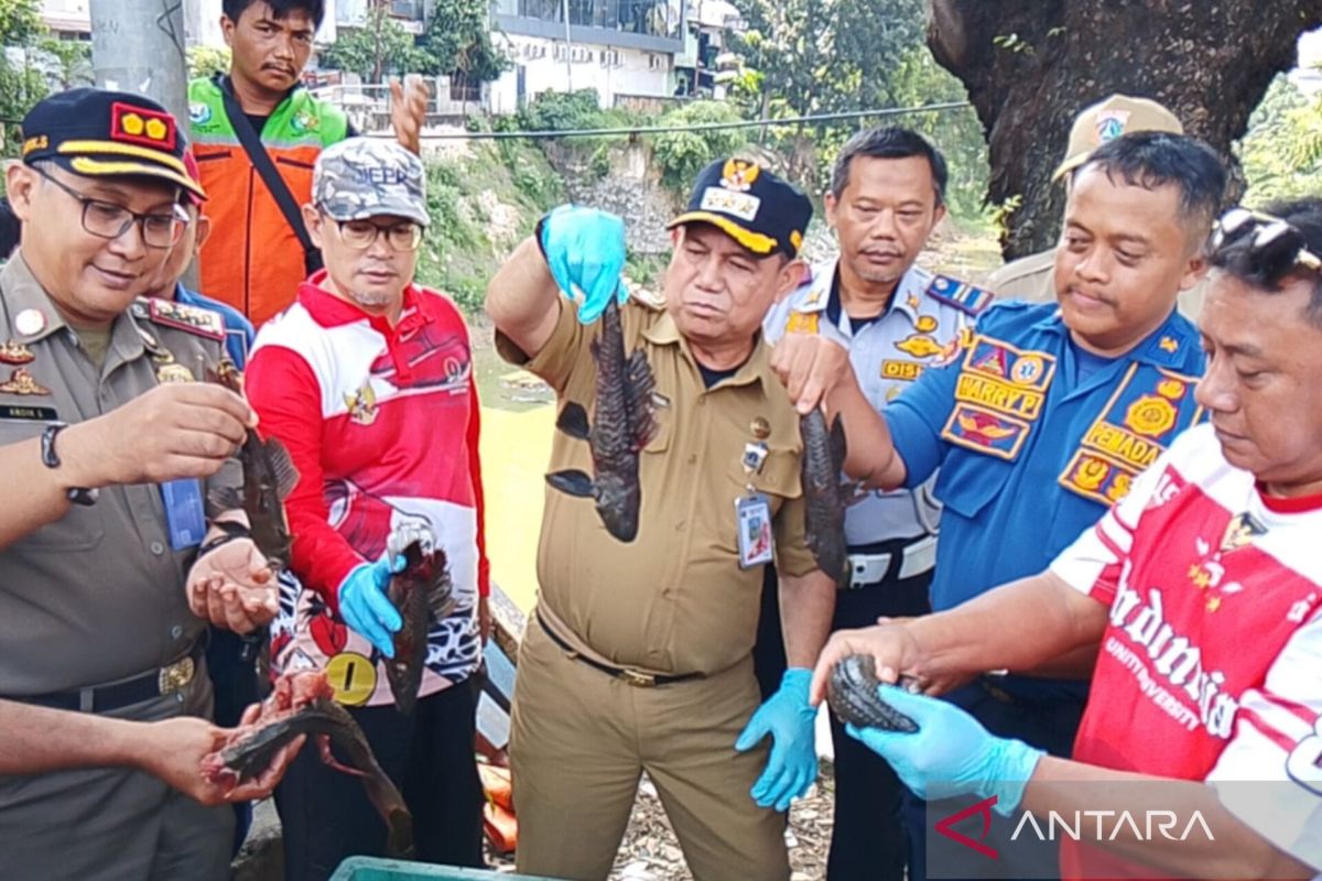 East Jakarta KPKP Office Promotes Capture of Plecostomus Fish in Every Subdistrict