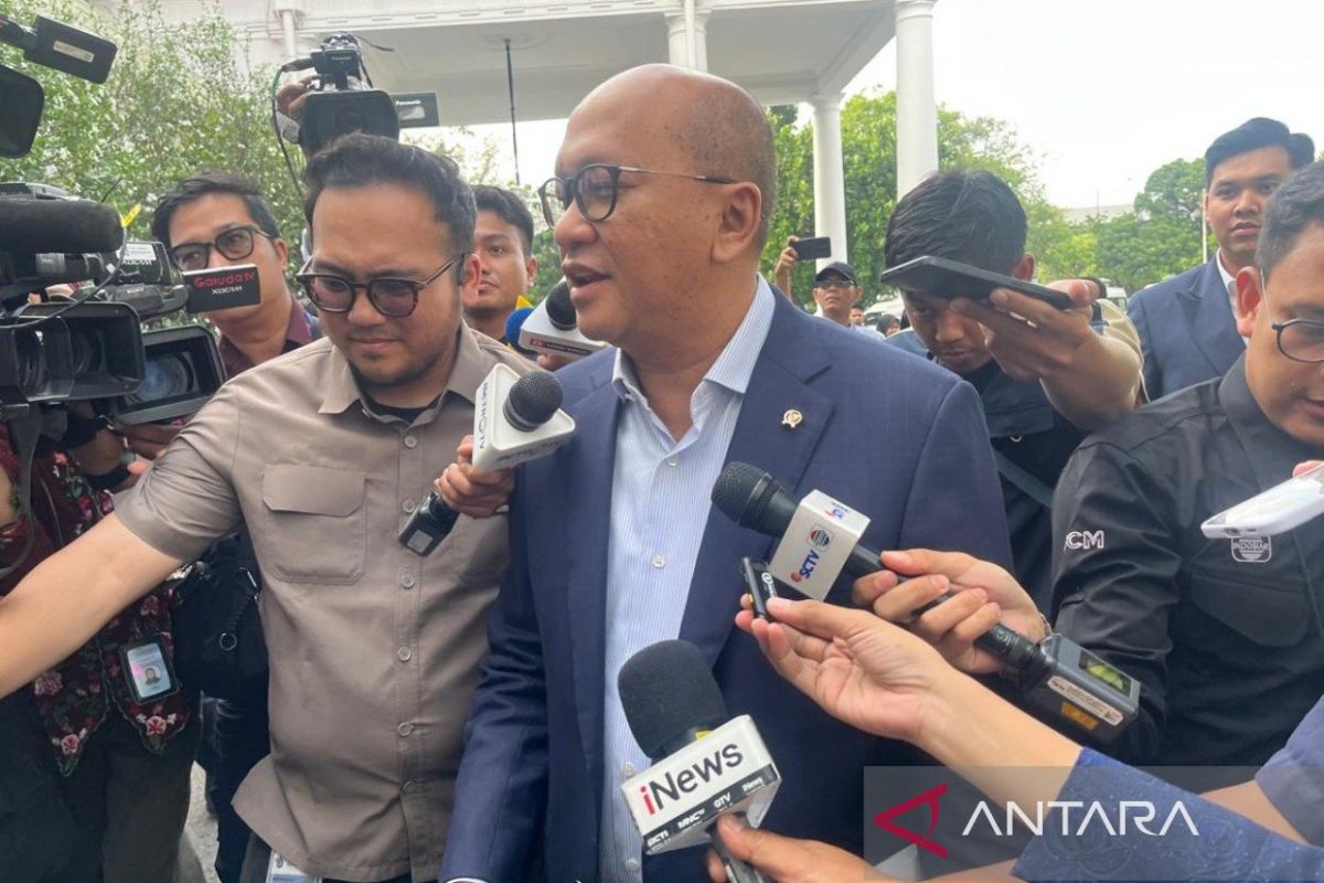 Rosan summoned by Prabowo to report on first-quarter investments