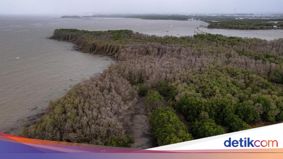 Carbon, National Security, and Indonesia's Preparedness