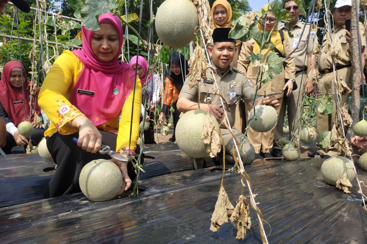 Regent Promotes Food Self-Sufficiency in the Thousand Islands