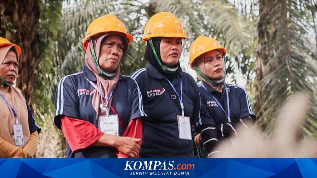 Female Palm Oil Farmers Level Up, Garden Yields Also Boosted