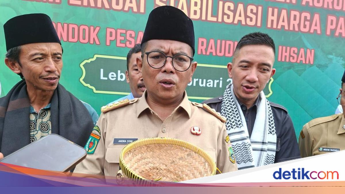 There Are 14 Feed Mills in Banten, Provincial Government Targets 52,000 Ton Corn Harvest in 2026