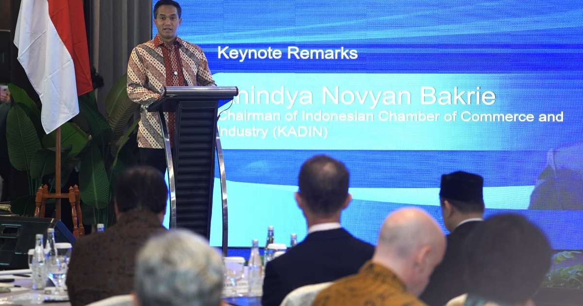Supporting Prabowo's Ambition, Kadin Says Indonesia is on the Right Track to Join OECD