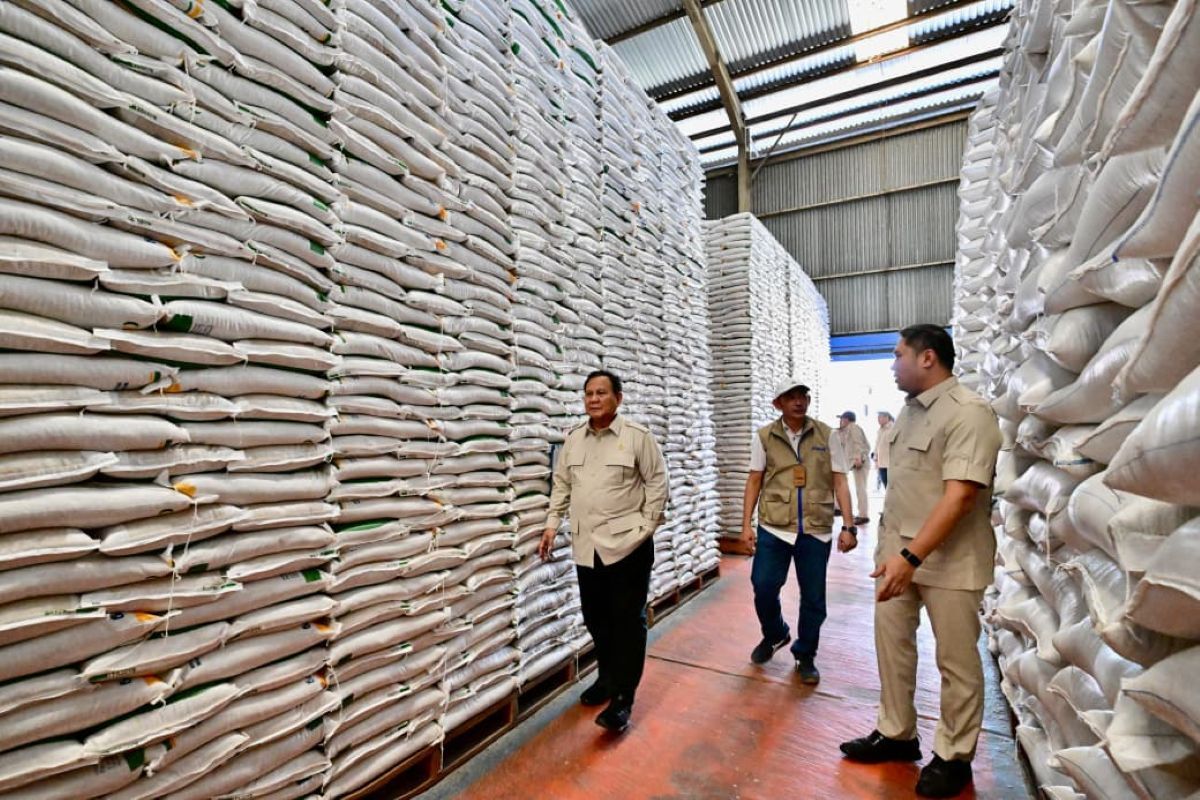 Post-Prabowo Inspection, Academic States National Rice Stock is Valid