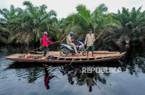 EU Pressure Makes Palm Oil Traceability a Challenge