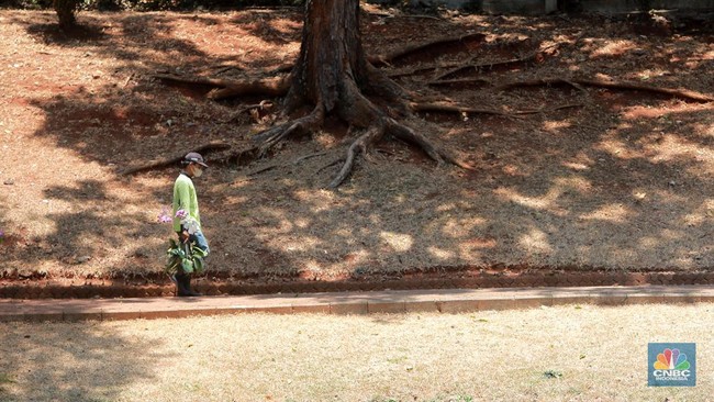 Indonesia Faces Threat from Godzilla El Niño, Beware of Soaring Food Prices!
