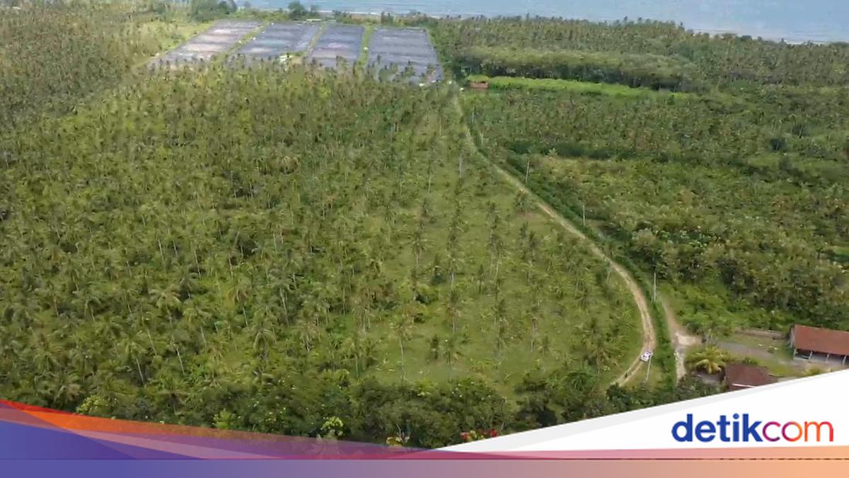 Kerobokan Prison Overloaded, Relocation to Melaya in Progress