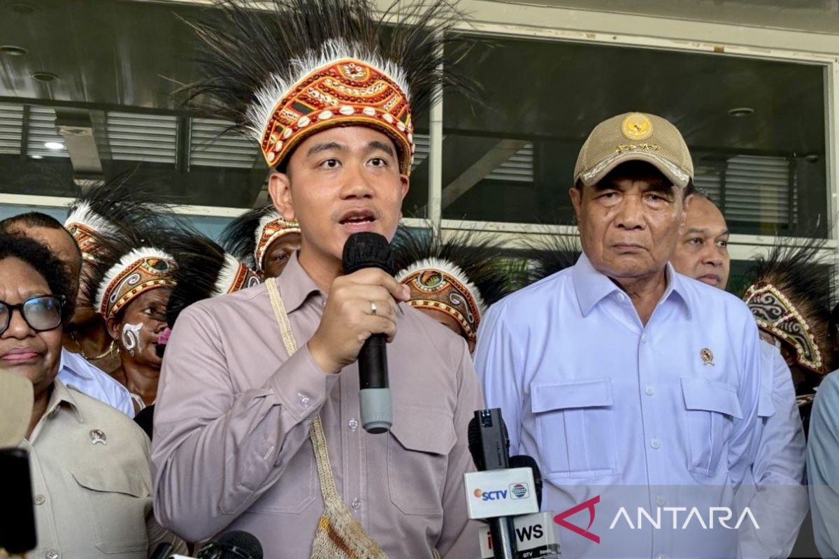 Gibran visits five districts in Papua to ensure President's programmes have impact