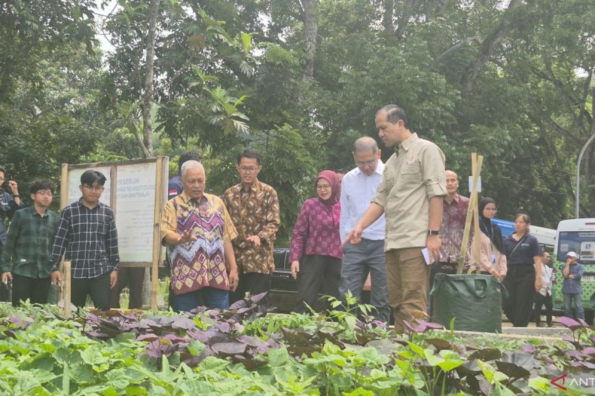 Unpad and Ministry of Transmigration Develop Sweet Potato Centre to Support Food Self-Sufficiency and Security