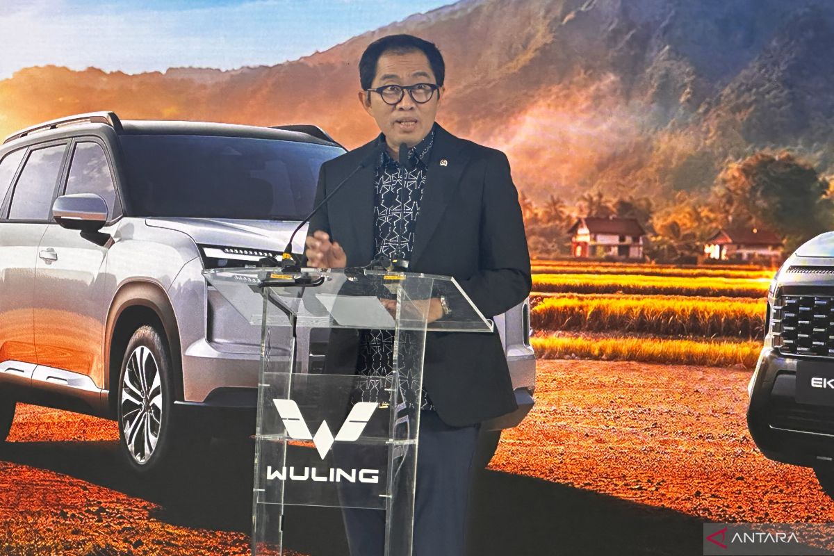Remove EV Incentives, Deputy Minister of Industry: We Must Consider Fiscal Conditions