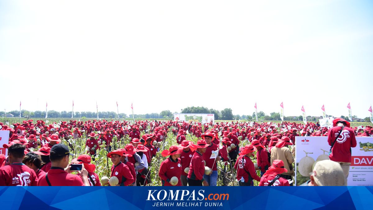 Indonesia's Horticulture Industry Faces Climate Challenges and Rising Production Costs