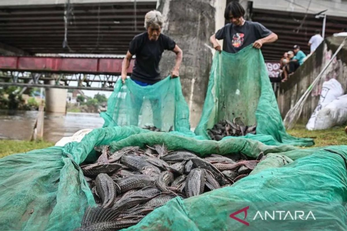 South Jakarta prepares oversight team for siomay vendors using sailfin catfish