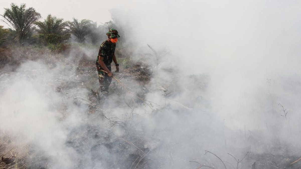 Two Districts in South Sumatra Already on Karhutla Alert Status