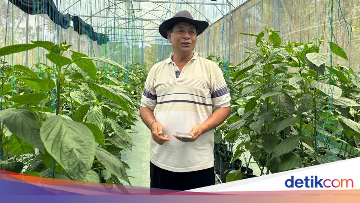 BRI Empowers Organic Paprika Farmers to Reach Hotels