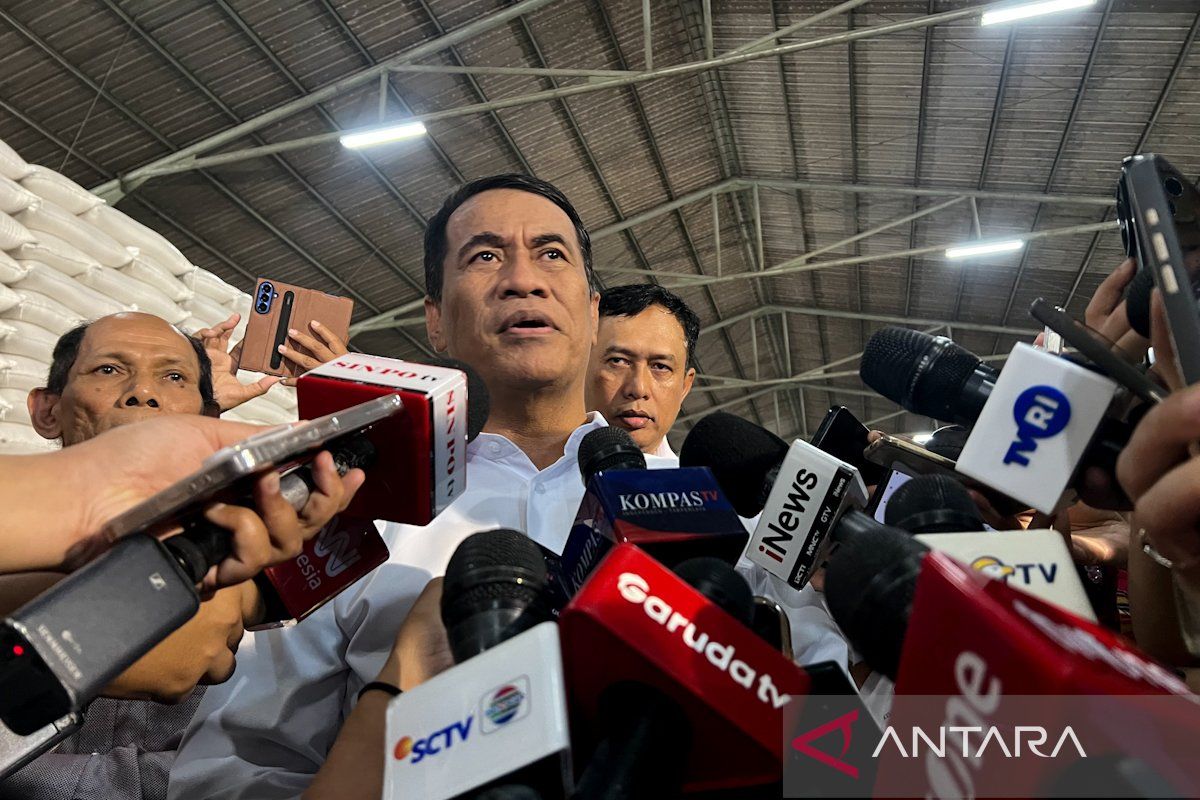 Agriculture Minister: Government's Rice Reserve Stock at Bulog Surpasses 5.19 Million Tonnes