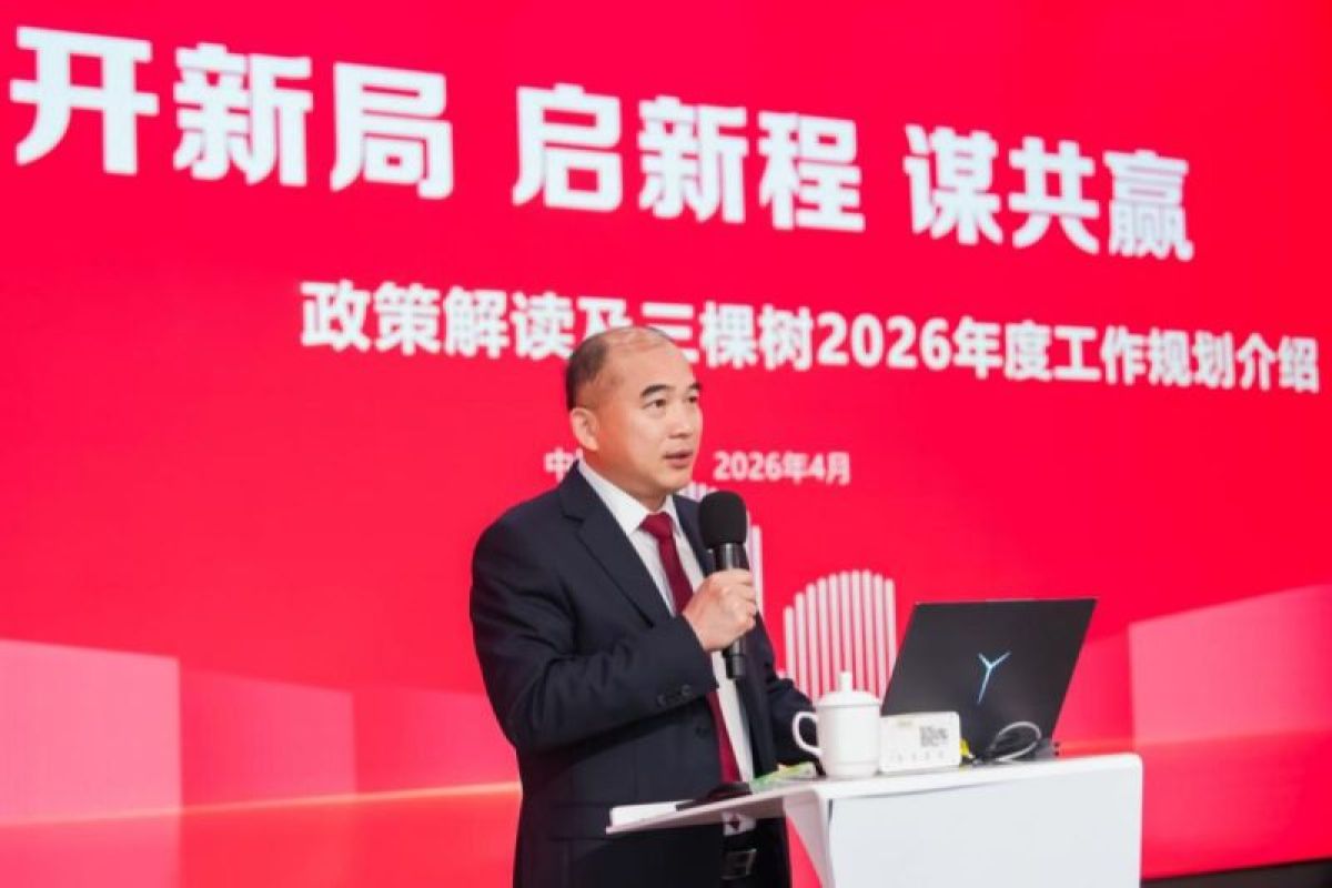 3Trees Leads Global Sales of "Stone Paint" Products in 2025, Expands International Reach