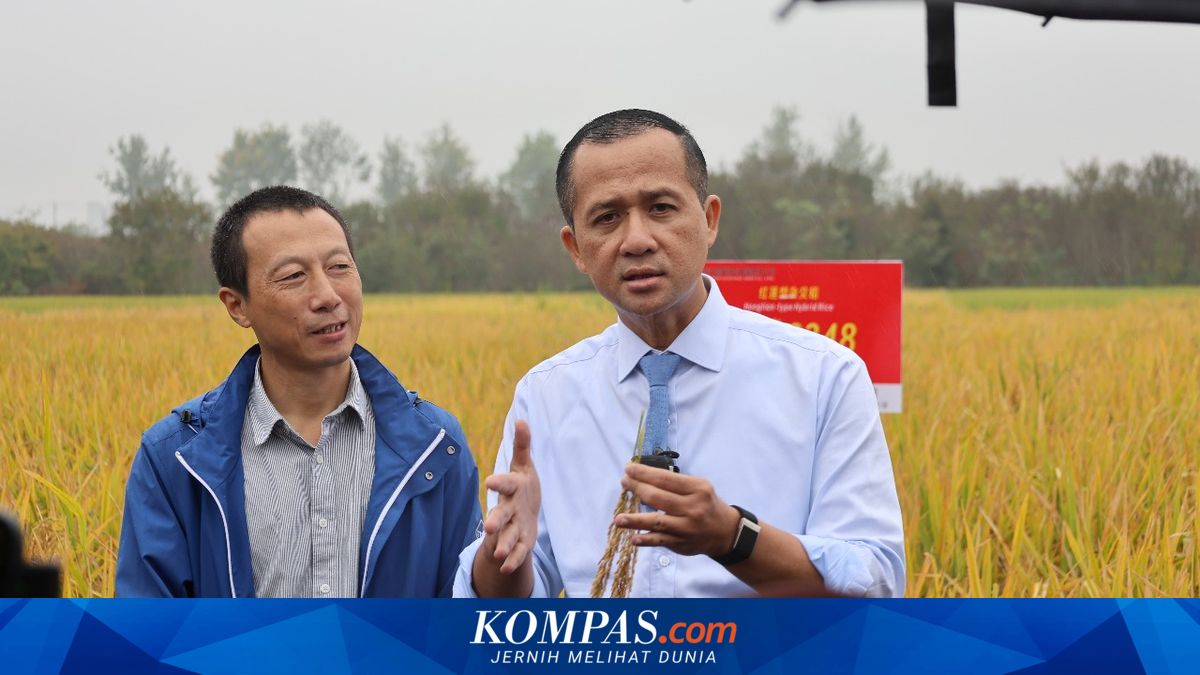 Ministry of Transmigration's Strategy to Target Rp 137 Trillion Durian Market Without Relying on China