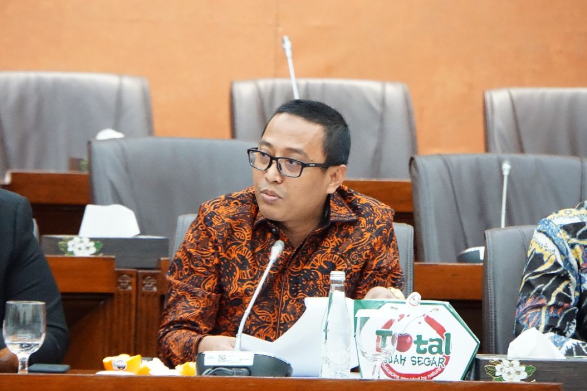 DPR Member Urges Upper-Middle Class to Support Energy Resilience