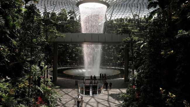 For Tourists, Singapore Imports Caterpillars Every Two Weeks