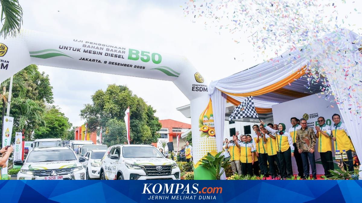 B50 Testing on Diesel Engines: Director General of New Energy Says It Meets Specifications