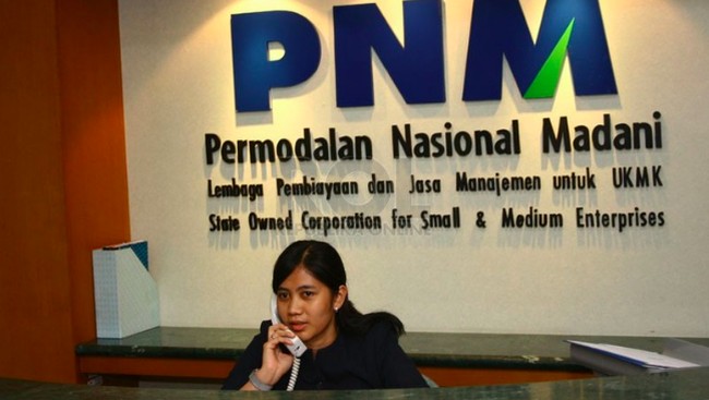 Danantara CEO's Response to the PNM and Geo Dipa Asset Swap