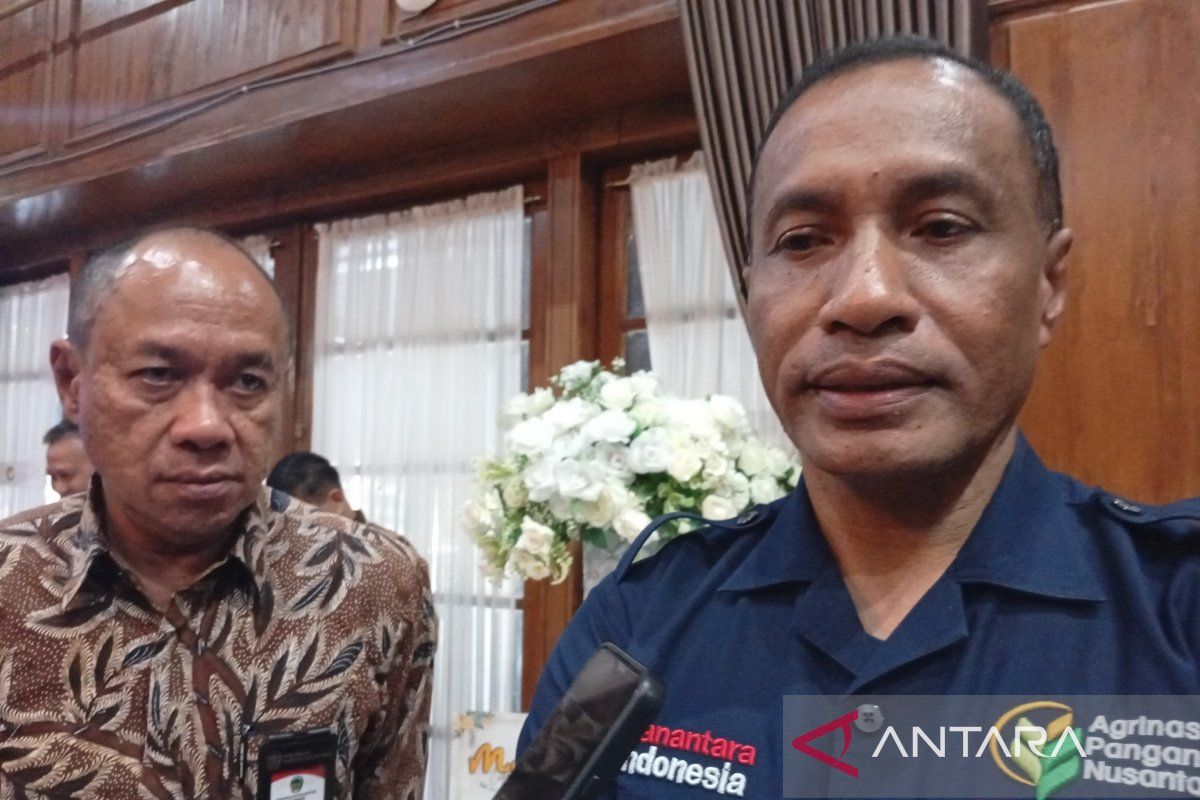 Banyumas Set as Model for Regional Potential-Based Food Production Centre Development
