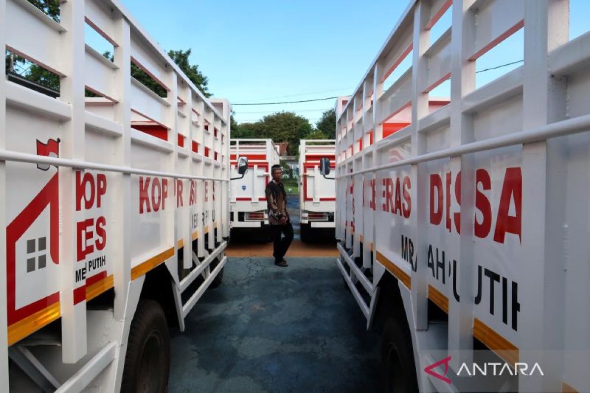 Economist calls for multi-layered oversight of Red and White Village Cooperatives