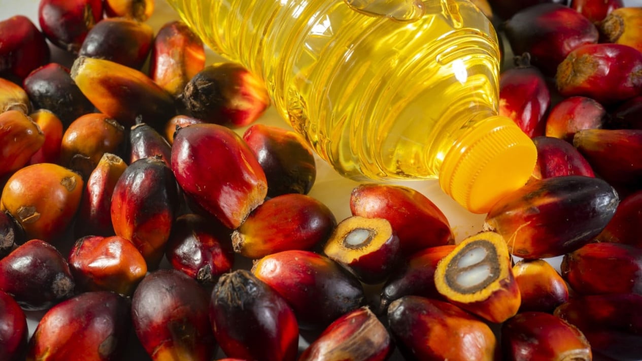 Rising Plastic Packaging Prices Threaten to Make Cooking Oil Even More Expensive