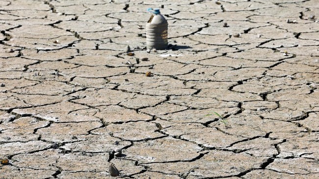 Terrifying! FAO Reveals Extreme Weather Could Ruin Global Harvests