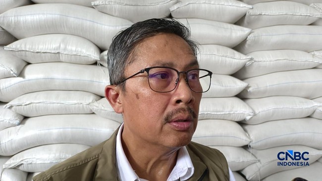 Bulog to Use Old Packaging for Rice Distribution, Asks Public Not to Misunderstand, Why?
