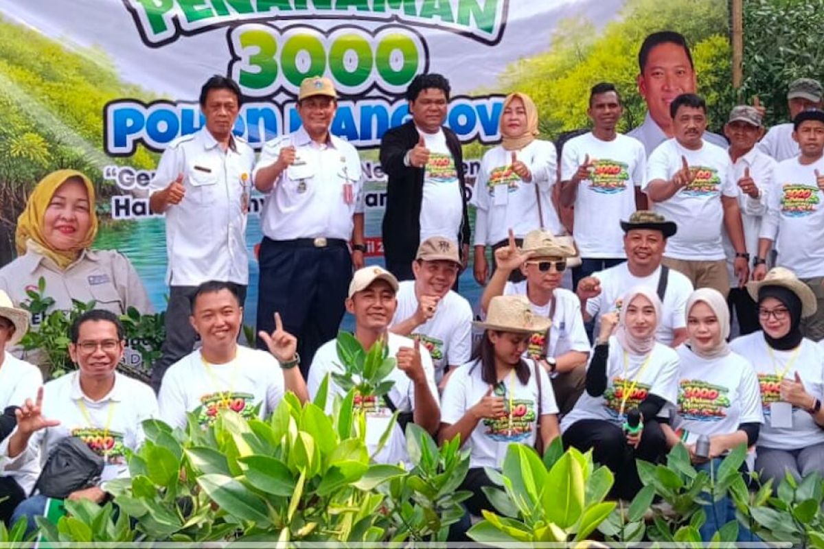 Thousands of Mangrove Seedlings Planted in Rusunawa Marunda Area