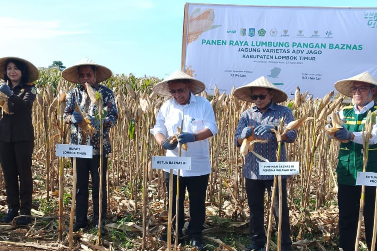 Baznas RI Strengthens Food Security in East Lombok
