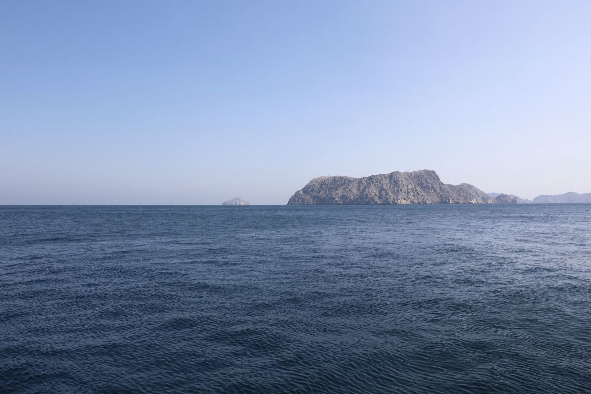 Italy ready to join mine-clearing operation in Strait of Hormuz