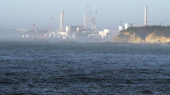 Indonesia and Japan Officially Sign Civil Nuclear Energy Cooperation Agreement