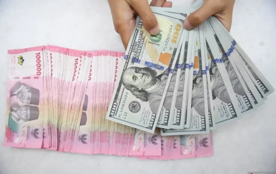 Government Urges Public to Remain Calm Amid Rupiah Depreciation